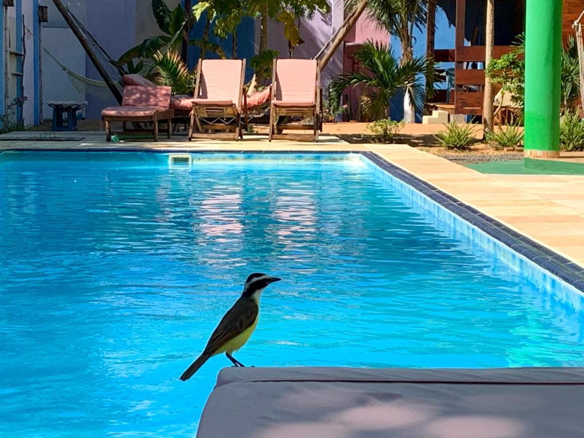 Pousada Janela Da Cor Jijoca de Jericoacoara Dış mekan fotoğraf